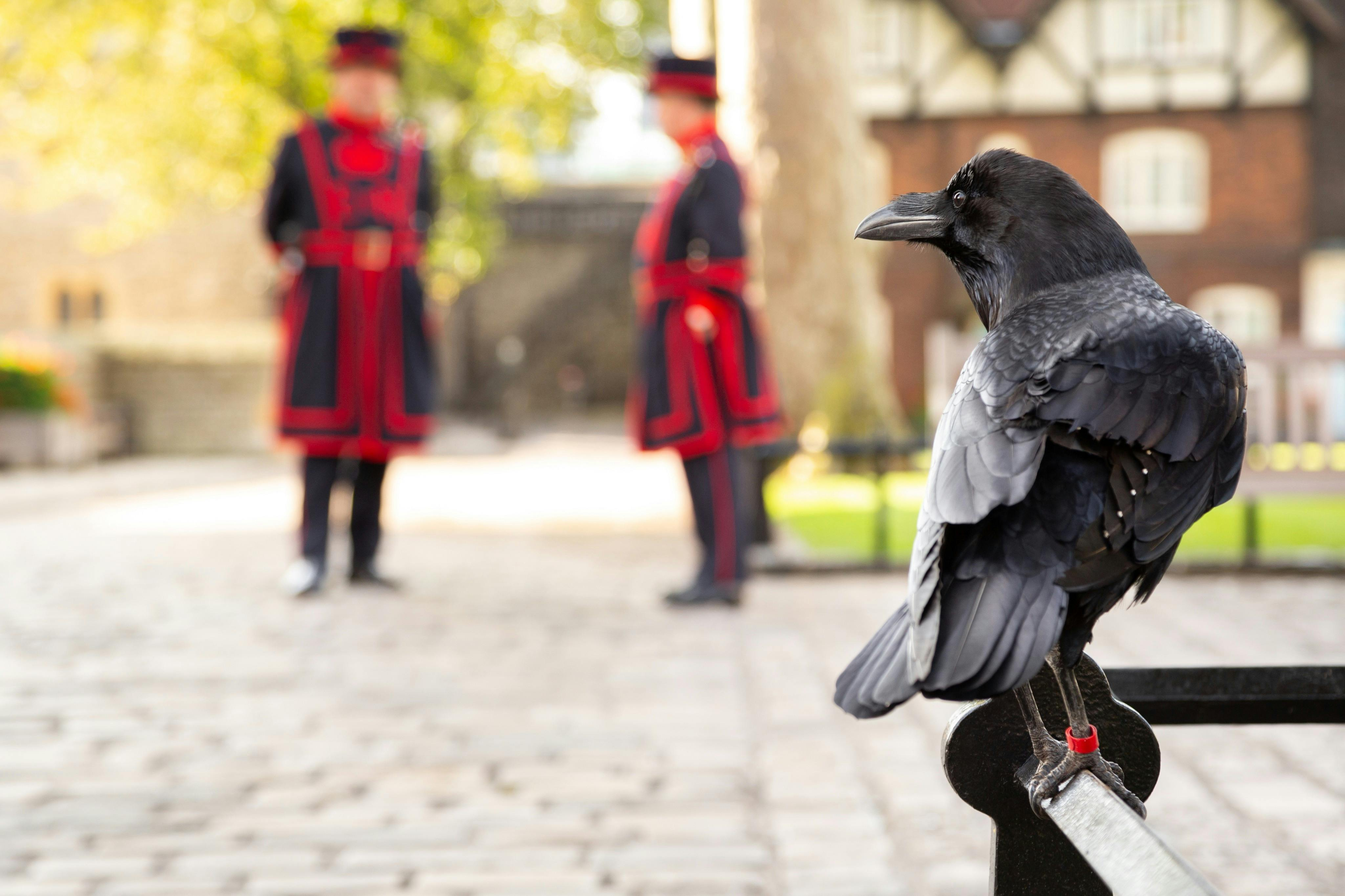 Tower of London: Guided Tour with a Beefeater - Photo 1 of 10